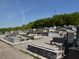 Cintorín v Trnovom