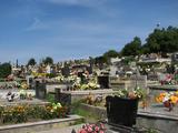 Cintorín v Trnovom