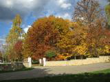 Park v jeseni