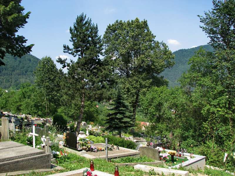Cintorín vo Vraní
