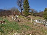 Staré hroby na cintoríne