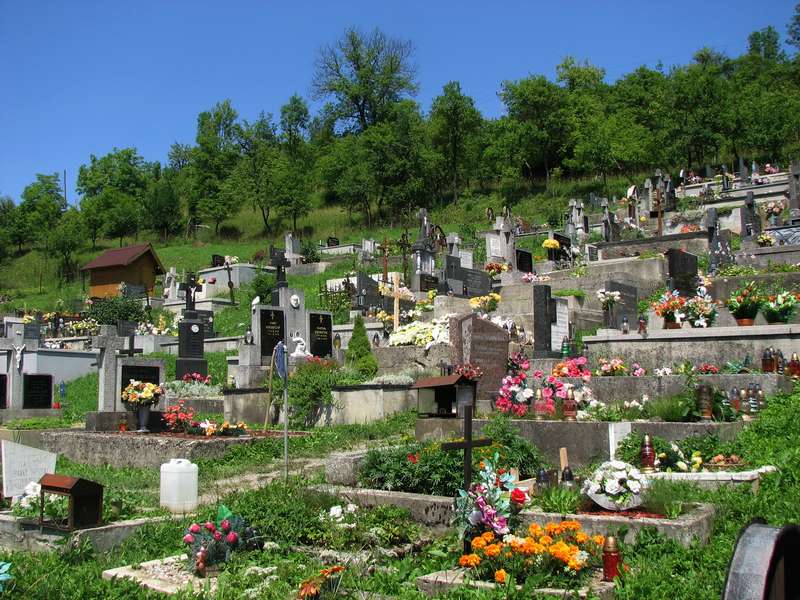 Cintorín v Hlbokom