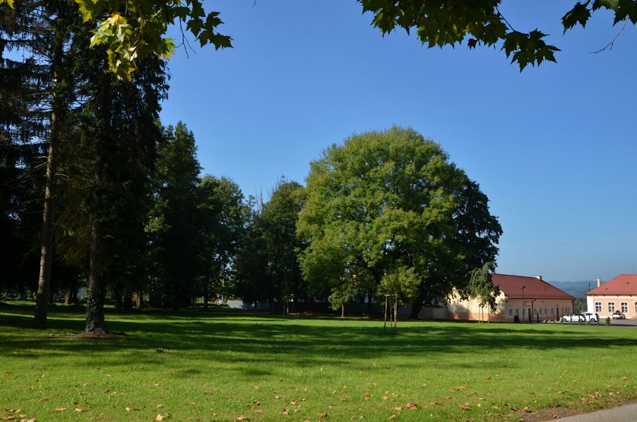 Klobušice