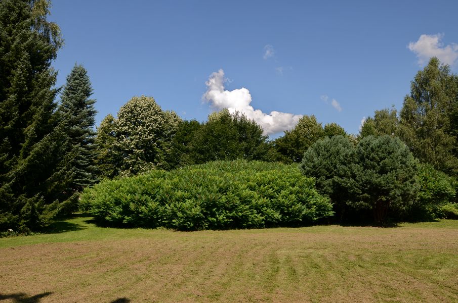 Park pri kaštieli v Krasňanoch