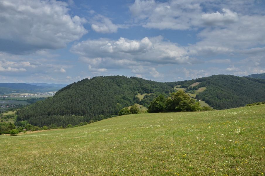 xDSC_8878.jpg