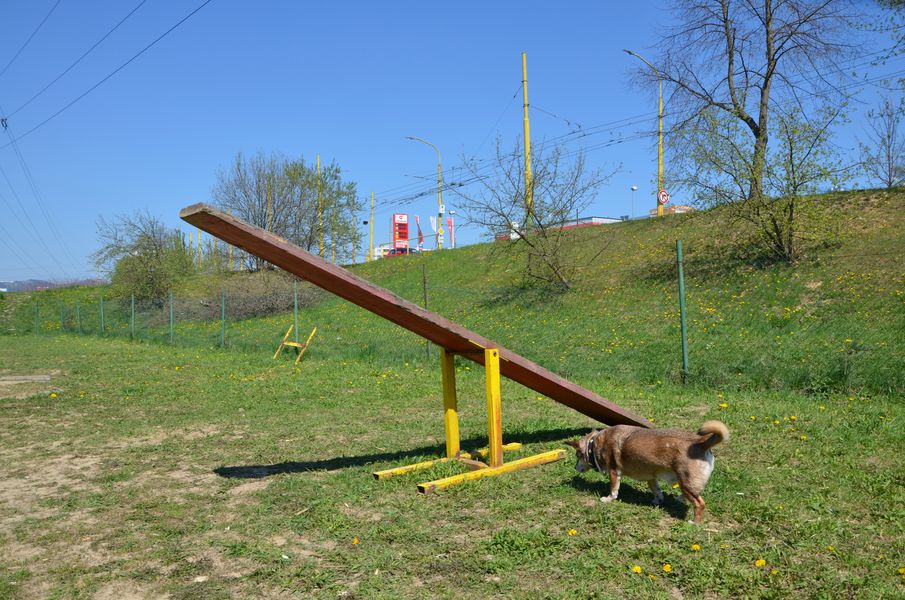 Šport v Žiline