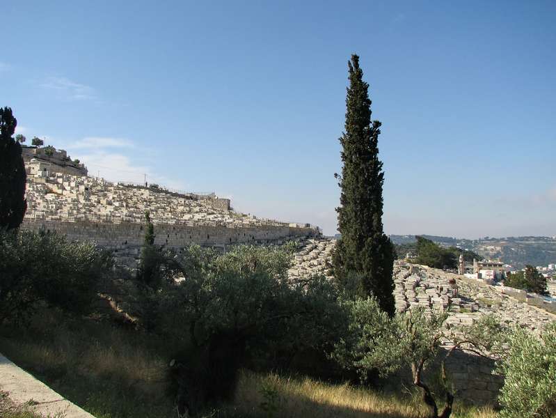 Mount of Olives – הר הזיתים