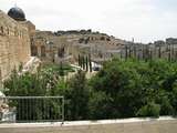 Staré Mesto (Jeruzalem)