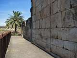בית כנסת Capernaum