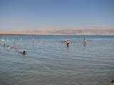 Dead Sea – ים המלח 