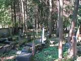 Židovský cintorín Dolný Kubín   