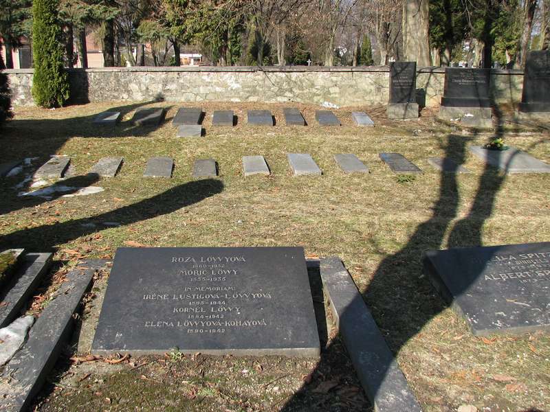 Jewish cemetery Martin