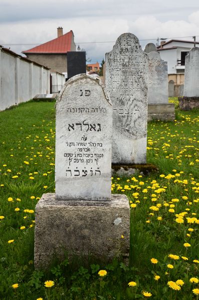 Židovský cintorín Kežmarok