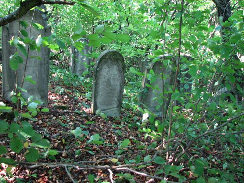 Jewish Cemetery in Pružina