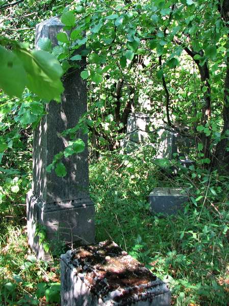 Jewish Cemetery in Pružina