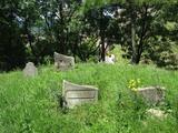 Starý židovský cintorín Beckov