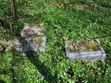 Židovský cintorín Trenčianska Teplá
