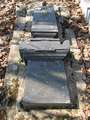 Židovský cintorín Vieska