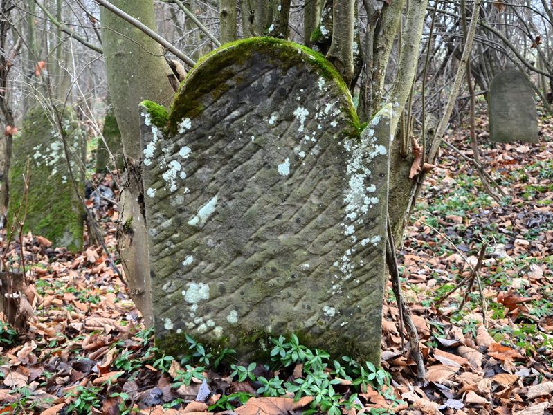 Židovský cintorín Vysoká n. K.
