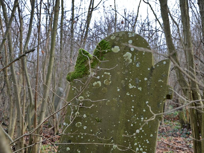 Židovský cintorín Vysoká n. K.