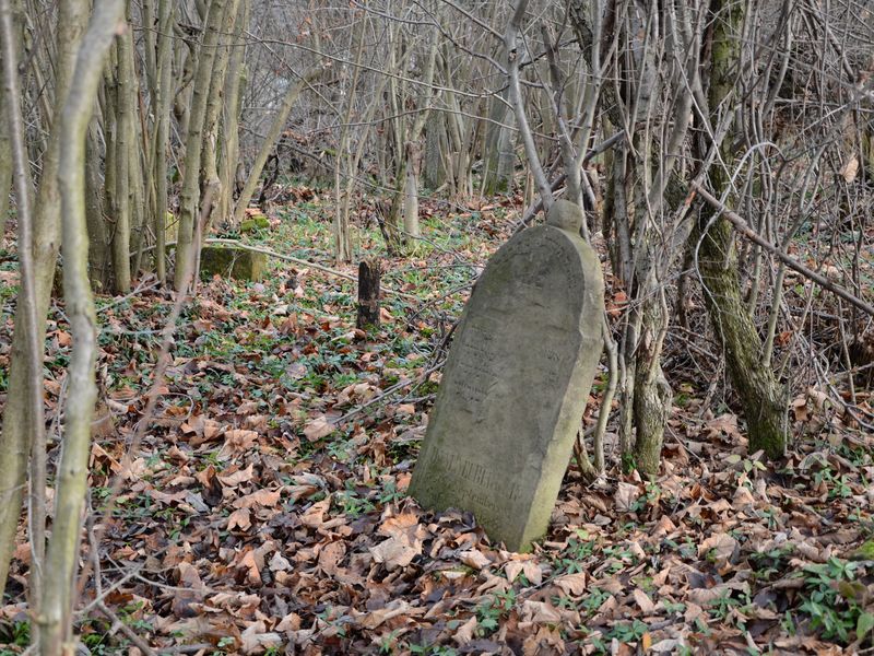 Židovský cintorín Nižný Kelčov
