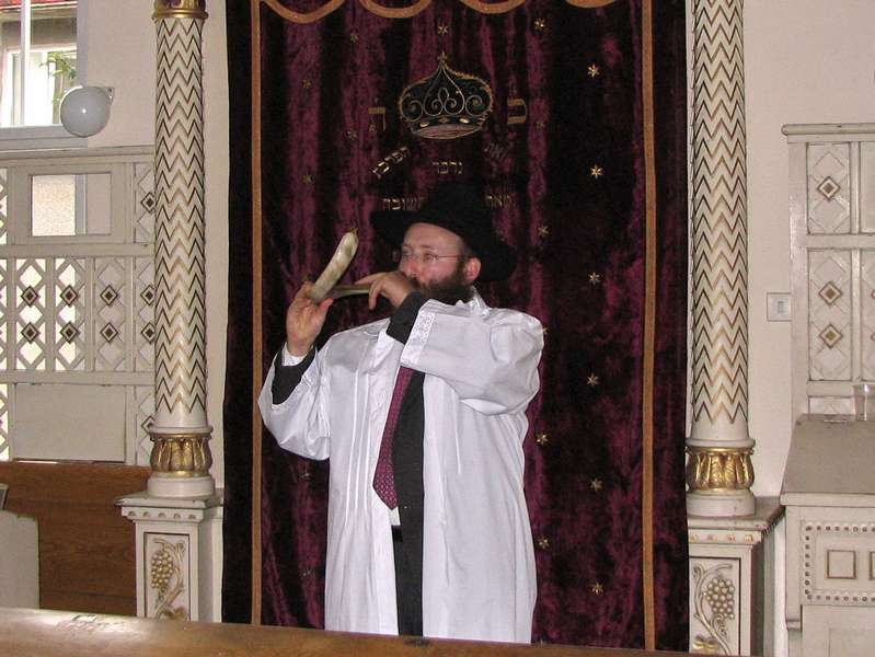  הרב זאב שטיפל - Rabín Zev Stiefel