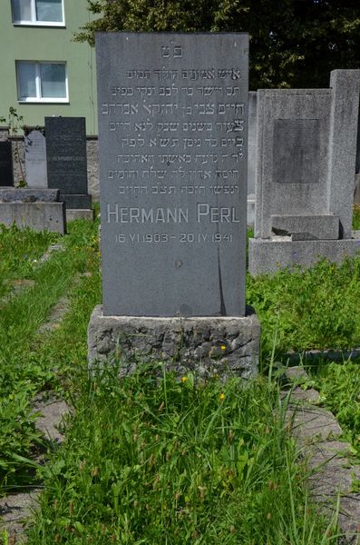 Hermann PERL