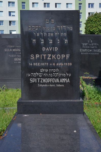 David SPITZKOPF