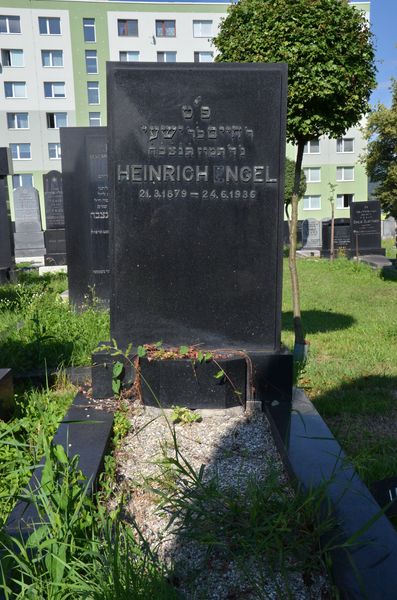 Heinrich ENGEL