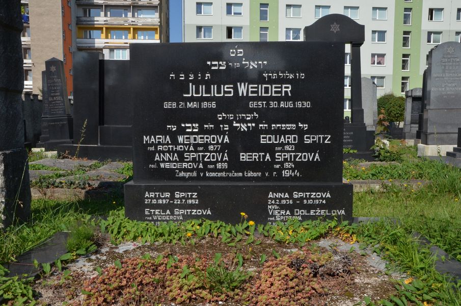 Julius WEIDER