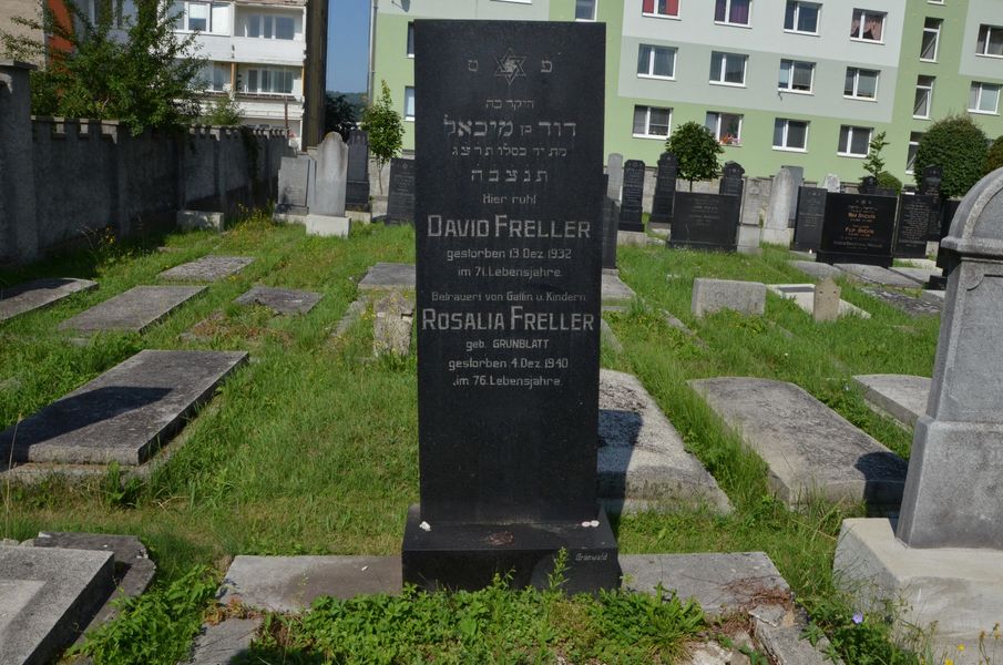 David a Rosalia FRELLER