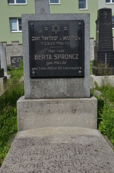 Berta SPRONCZ, geb. Pollák