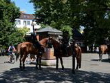 Jazdecká polícia v Žiline