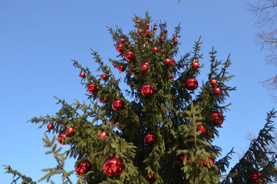 Vianočný strom v Žiline